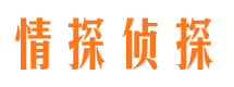 齐河市婚外情调查